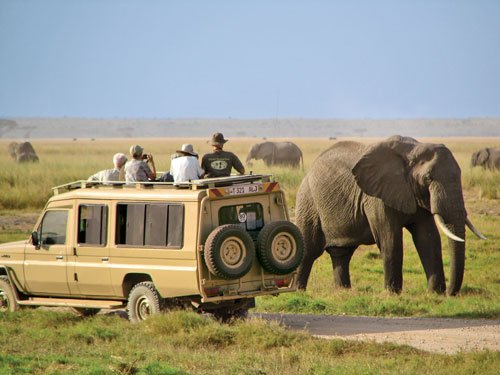 GamedriveinAmboselinationalpark 